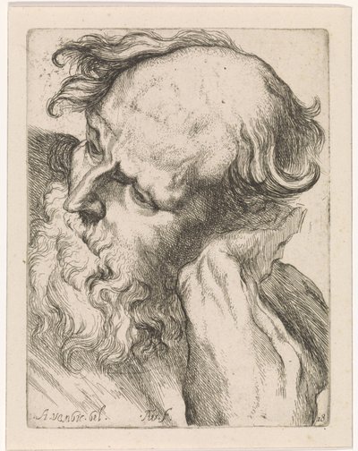 Vanhan miehen pää (Joseph) Tutkimuksia piirustuskirjaan Anthony van Dyckin klassisten veistoksia ja hahmoja varten (sarjan nimi) tekijältä Augustinus Terwesten (I)