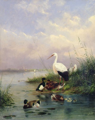 Sinisorsan perhe, kaksi haikaraa ja tuftausankkaperhe (77886 pari) tekijältä Augustus Knip