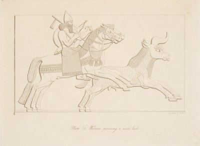 Soturi jahtaamassa villihärkää, Monuments of Niniven pubista. 1849 tekijältä Austen Henry Layard