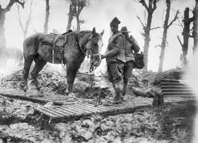 Tykistöhevonen, jota käytettiin ampumatarvikkeiden kuljettamiseen aseisiin, ja sen tunnistamaton australialainen kuljettaja pitkospuuradalla Mametzin ja Montaubanin välillä, joulukuu 1916 tekijältä Australian Photographer