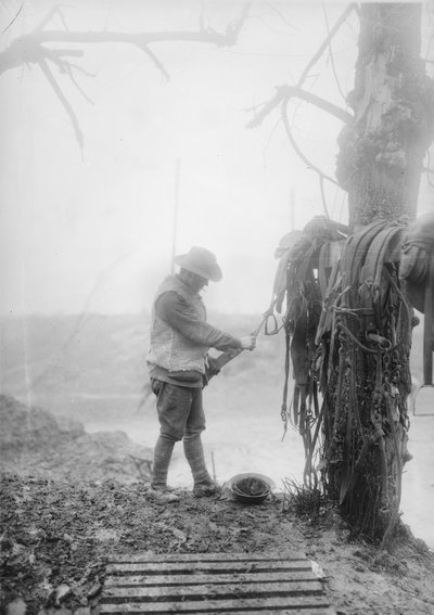 Tuntematon australialainen tykistökuljettaja puhdistaa mutaa tiiminsä valjaista aihiossa Mametzin lähellä joulukuussa 1916 tekijältä Australian Photographer