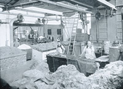 Interior of a Hat Mill, Victoria, n. 1900, "Under the Southern Cross - Glimpses of Australia", julkaistu vuonna 1908 tekijältä Australian Photographer