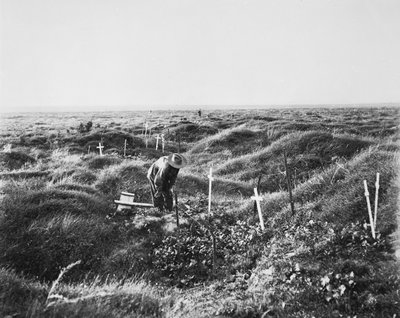 Näkymä hajallaan olevista australialaisista haudoista OG1-linjalla Pozieresin taistelukentällä, 16. syyskuuta 1917 tekijältä Australian Photographer