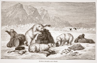 Jääkarhut hyökkäävät matkatavarapubiimme. Wien 1876 (kaiverrus) tekijältä Austrian School