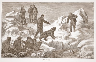 Metsästys koirien kanssa, 1876 tekijältä Austrian School