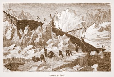 Hansan uppoaminen, 1876 tekijältä Austrian School