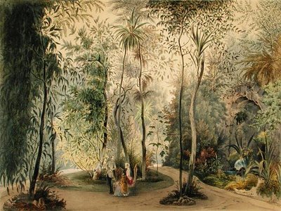 Hofburgin palatsin talvipuutarha, Wien, 1852 (katso myös 170854) tekijältä Austrian School