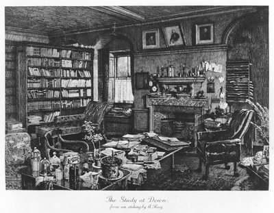 The Study at Down, pub. 1882 (kaiverrus) tekijältä Axel (after) Haig