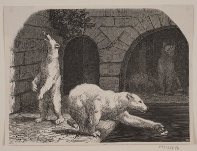 Karhuja Jardin des Plantesissa tekijältä Axel Theodor Kittendorff