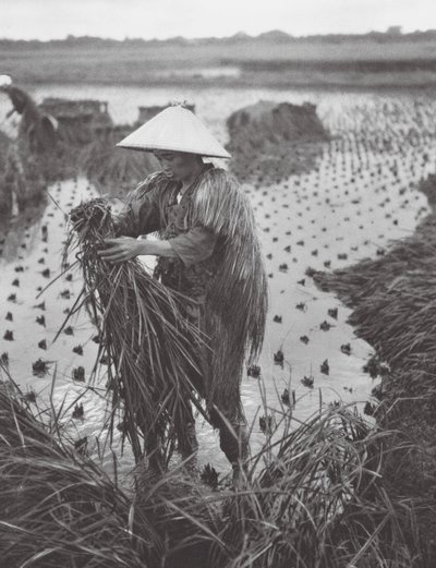 Japani: Niigatan lähellä (s/w-kuva). tekijältä Axel von Graefe