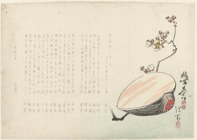 Kuori tekijältä Ayaoka Yûshin