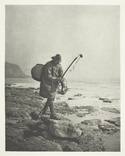 Katkarapu tekijältä B. Gay Wilkinson