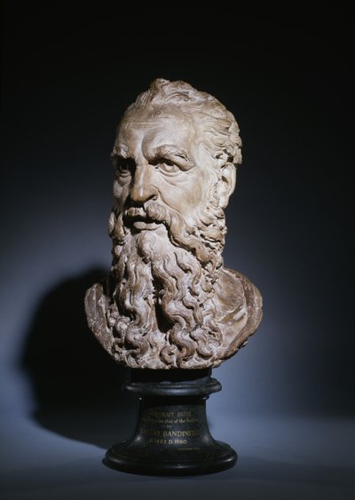 Tutkimus Pyhän Paavalin päästä, n. 1535 (terrakotta) tekijältä Baccio Bandinelli