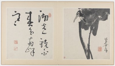 Sivuja kukkia, lintuja, hyönteisiä ja kaloja esittävästä albumista, Qing-dynastia, 1688-89 (muste paperille). tekijältä Bada Shanren