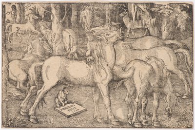 Seitsemän hevosen ryhmä, 1534. tekijältä Baldung