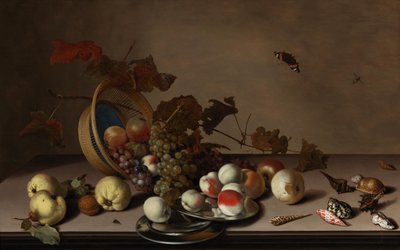 Hedelmäasetelma pajukorilla, simpukoilla ja perhosella, 1600-luvun ensimmäinen puolisko. tekijältä Balthasar van der Ast