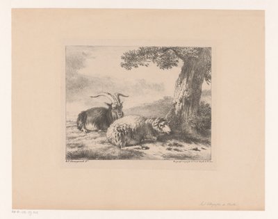 vuohi ja lammas tekijältä Balthasar Paul Ommeganck