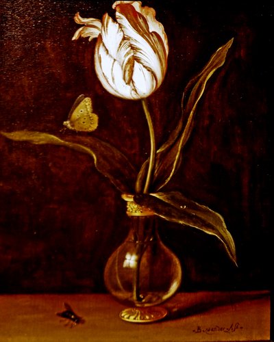 Yksi tulppaani maljakossa tekijältä Balthasar van der Ast