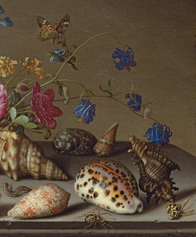 Kukkia, kuoria ja hyönteisiä kivireunalla tekijältä Balthasar van der Ast