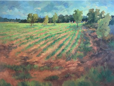  tekijältä Barbara Cleary