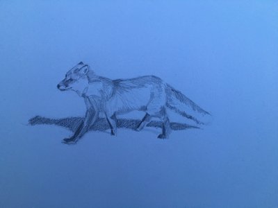 Fox, 2018 tekijältä Barbara Hoogeweegen