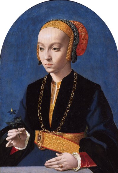 Elisabeth Bellinghausenin muotokuva (n.1520- gt; 1570) tekijältä Bartholomaeus Bruyn the Elder