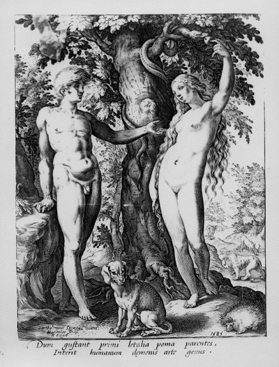 Aatami ja Eeva, kaiverrettu Hendrik Goltziuksen toimesta, 1585. tekijältä Bartholomaeus Spranger