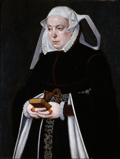 Naisen muotokuva, noin 1560-70 (öljy paneelille). tekijältä Bartholomaus the Younger Bruyn