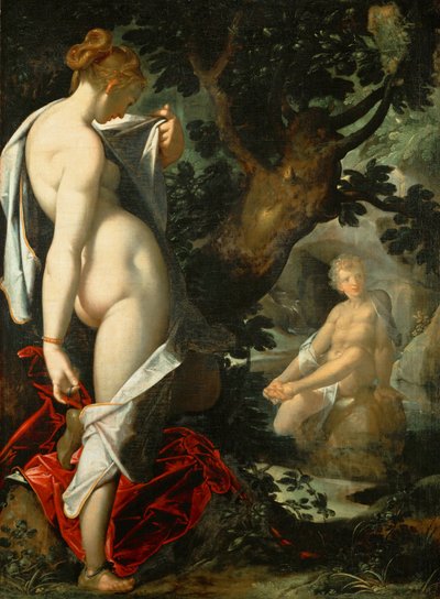 Saksa: Hermaphroditus und die Nymphe Salmacis Hermaphroditus ja nymfi Salmacis tekijältä Bartholomeus Spranger