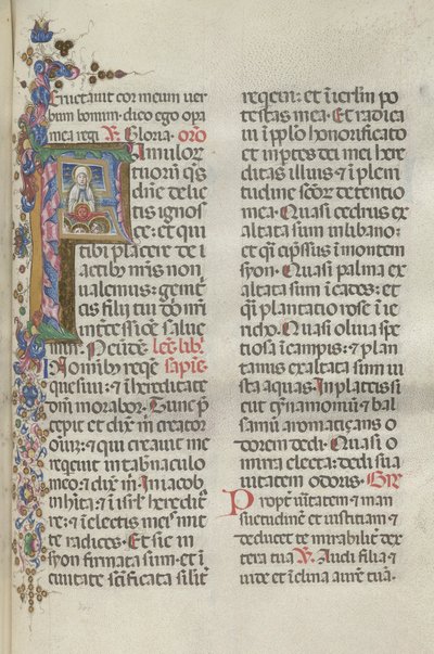 Missale: Fol. 306: Neitsyt taivaaseenastuminen, 1469. tekijältä Bartolomeo Caporali