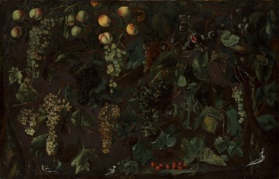 Viiniköynnökset ja hedelmät, kolme wagtailiä, n. 1615-18. tekijältä Bartolomeo Cavarozzi