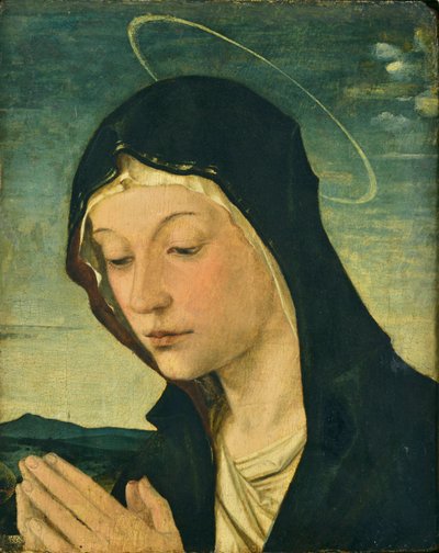 Palvovan madonnan pää ja kädet (katkelma), n.1477-78 (tempera poppelipuulle). tekijältä Bartolomeo Montagna