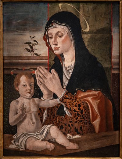 Madonna Jeesus-lapsen kanssa tekijältä Bartolomeo Montagna