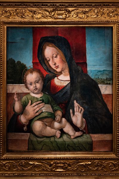 Madonna Jeesus-lapsen kanssa, 1400-luvun viimeinen vuosikymmen (öljy paneelissa) tekijältä Bartolomeo Montagna