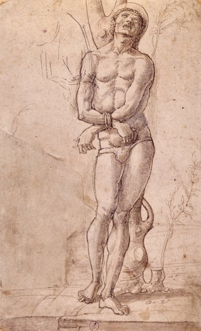 Saint Sebastian, n. 1475, piirustus Bartolomeo Montagna (n. 1450-1523), kynä ja ruskea muste, ruskea pesu, cm 20x15, Italia tekijältä Bartolomeo Montagna