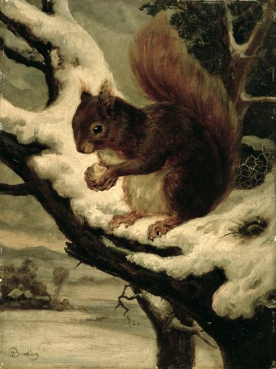 Punainen orava syö pähkinää (öljy myllylaudalle) tekijältä Basil Bradley