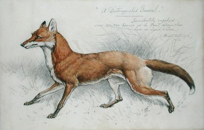 "Arvostettu kenraali tekijältä Basil J. Nightingale