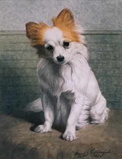 Lelukoira tekijältä Basil J. Nightingale