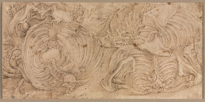 Rib Cages, 1540-luvun alku. tekijältä Battista Franco