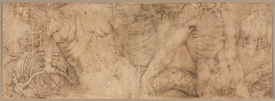Vartalot rintakehillä, 1540-luvun alku. tekijältä Battista Franco