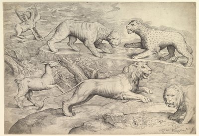 Kuusi eläintä, mukaan lukien leijonat, tiikeri, leopardi, griffin ja vuohi, n. 1530-61. tekijältä Battista Franco Veneziano