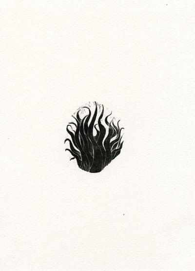 Fire, 2017, (puukaiverrus paperille) tekijältä Bella Larsson