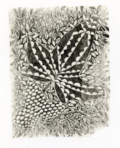 Ivy, 2014, (puukaiverrus paperille) tekijältä Bella Larsson