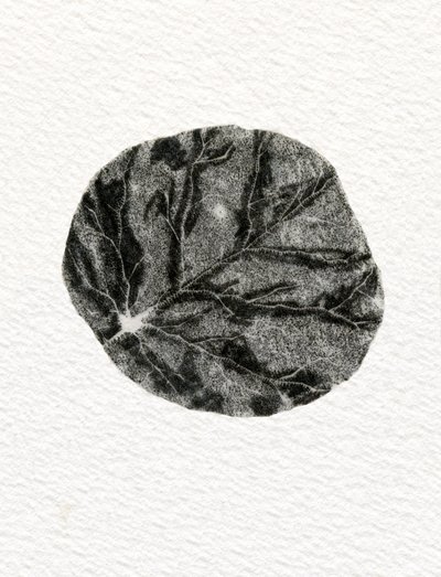Lehti, 2014, (puukaiverrus paperille) tekijältä Bella Larsson