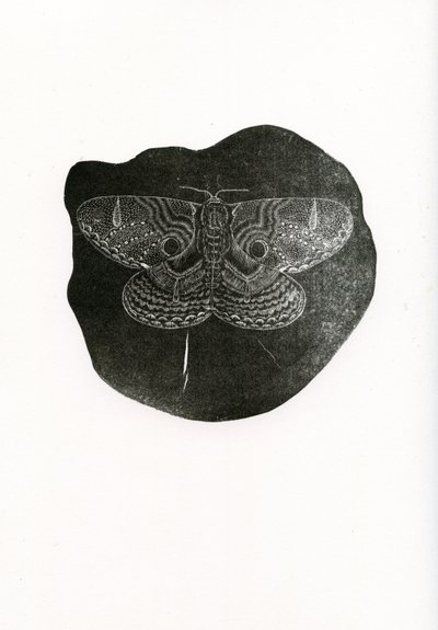 Night Butterfly, 2016, (puukaiverrus paperille) tekijältä Bella Larsson