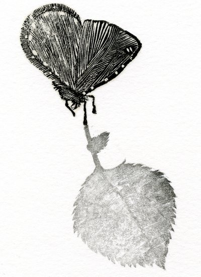 Jännitys, 2014 (puukaiverrus, kollaasi paperille) tekijältä Bella Larsson