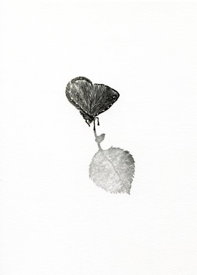Jännitys, 2014 (puukaiverrus paperille) tekijältä Bella Larsson