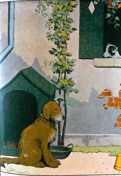 Koira, kuvitus teoksesta "Le Buffon de Benjamin Rabier", muokattu Georges de Buffonin (1707-88) "Histoire Naturelle" -teoksesta (värikaiverrus) tekijältä Benjamin (after) Rabier