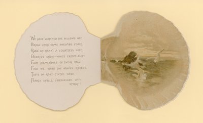 Kuvitus kirjaseen nimeltä Sea Shells (väri litho) tekijältä Benjamin D. Sigmund