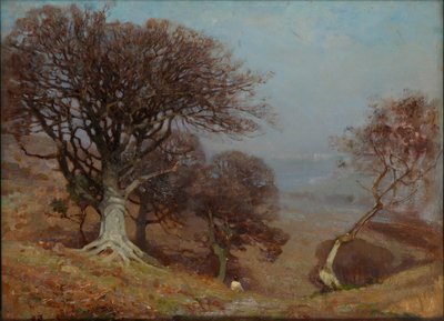 "Pyökkejä Quantocksilla", 1885-1924 tekijältä Benjamin Haughton